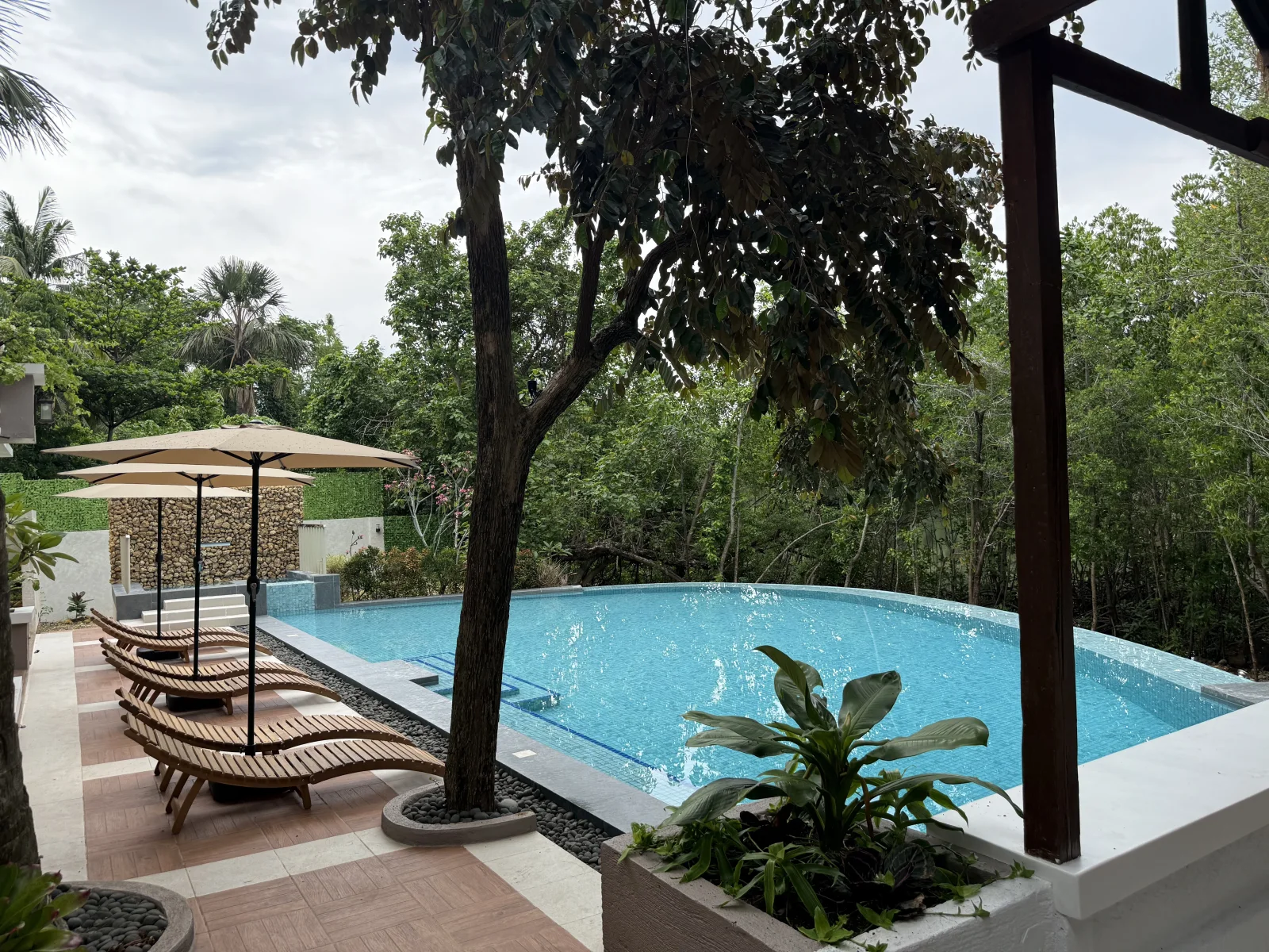 Relax by the pool